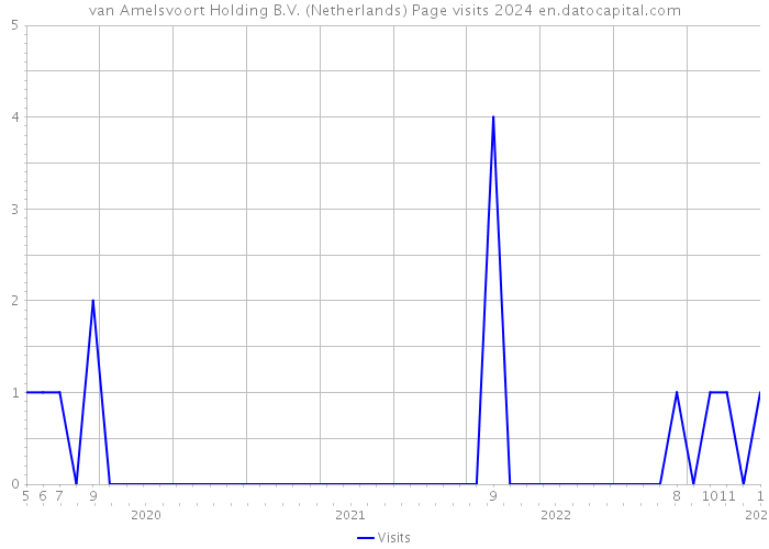 van Amelsvoort Holding B.V. (Netherlands) Page visits 2024 
