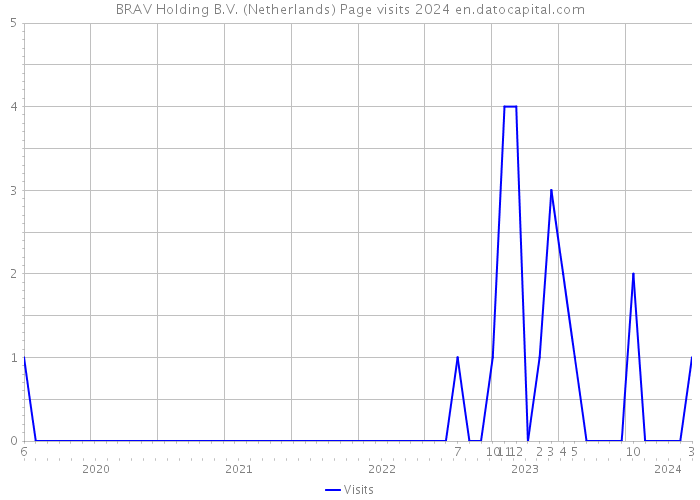 BRAV Holding B.V. (Netherlands) Page visits 2024 