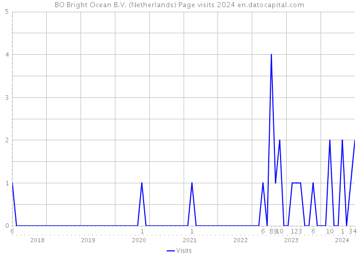 BO Bright Ocean B.V. (Netherlands) Page visits 2024 