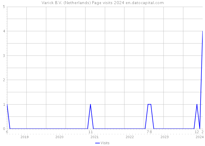 Varick B.V. (Netherlands) Page visits 2024 