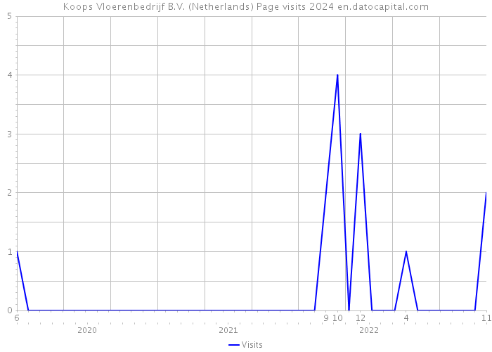 Koops Vloerenbedrijf B.V. (Netherlands) Page visits 2024 