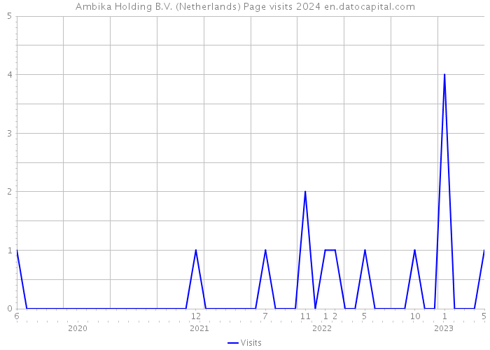 Ambika Holding B.V. (Netherlands) Page visits 2024 
