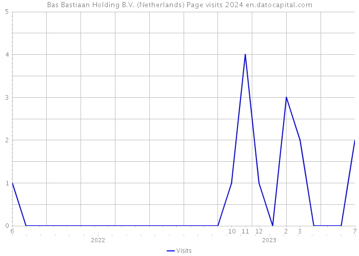 Bas Bastiaan Holding B.V. (Netherlands) Page visits 2024 