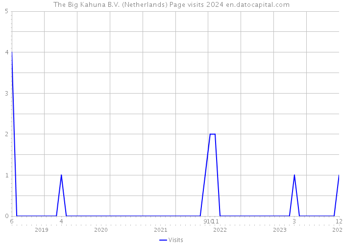 The Big Kahuna B.V. (Netherlands) Page visits 2024 