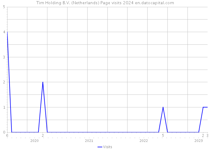 Tim Holding B.V. (Netherlands) Page visits 2024 