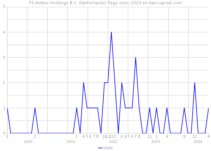 FS Amber Holdings B.V. (Netherlands) Page visits 2024 
