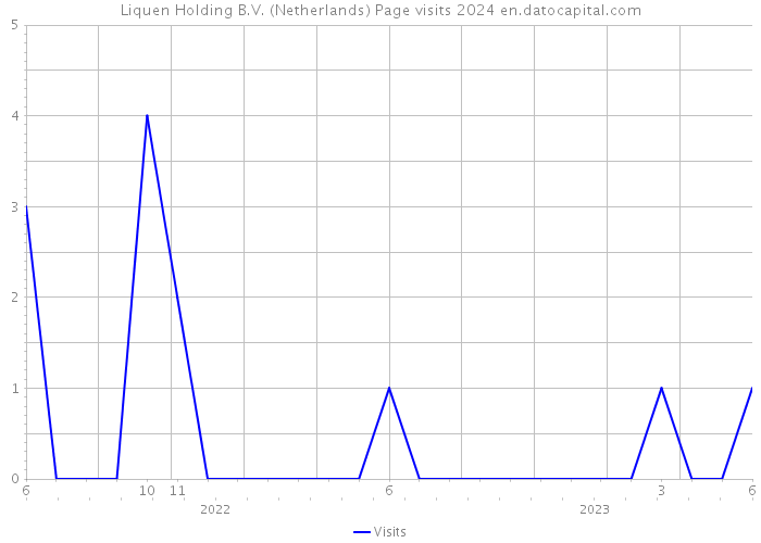 Liquen Holding B.V. (Netherlands) Page visits 2024 