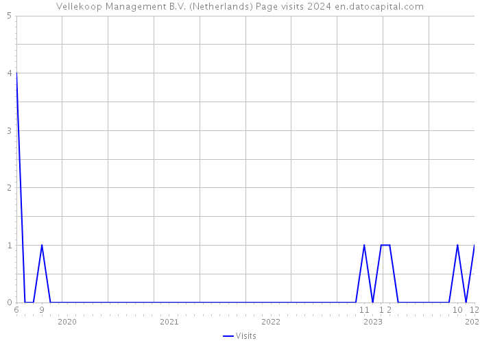 Vellekoop Management B.V. (Netherlands) Page visits 2024 