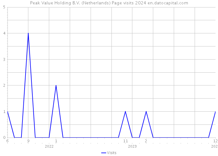 Peak Value Holding B.V. (Netherlands) Page visits 2024 