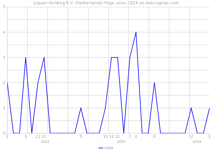 Liquen Holding B.V. (Netherlands) Page visits 2024 