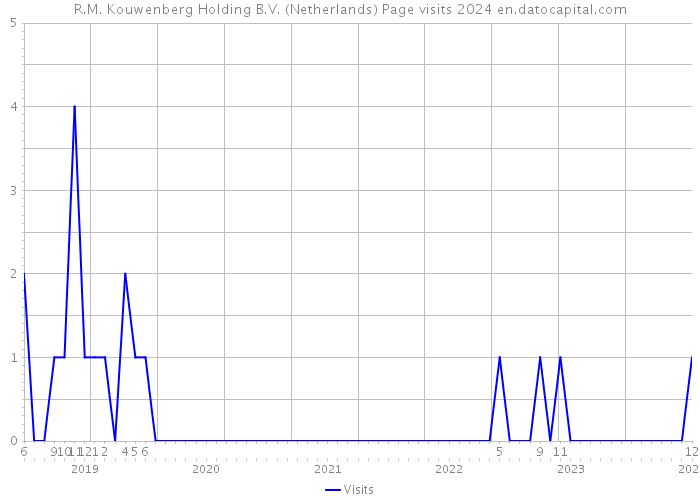 R.M. Kouwenberg Holding B.V. (Netherlands) Page visits 2024 