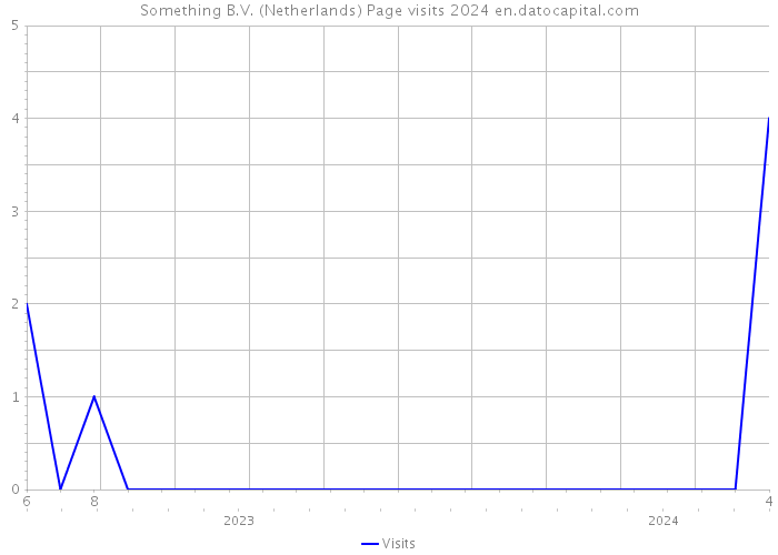 Something B.V. (Netherlands) Page visits 2024 
