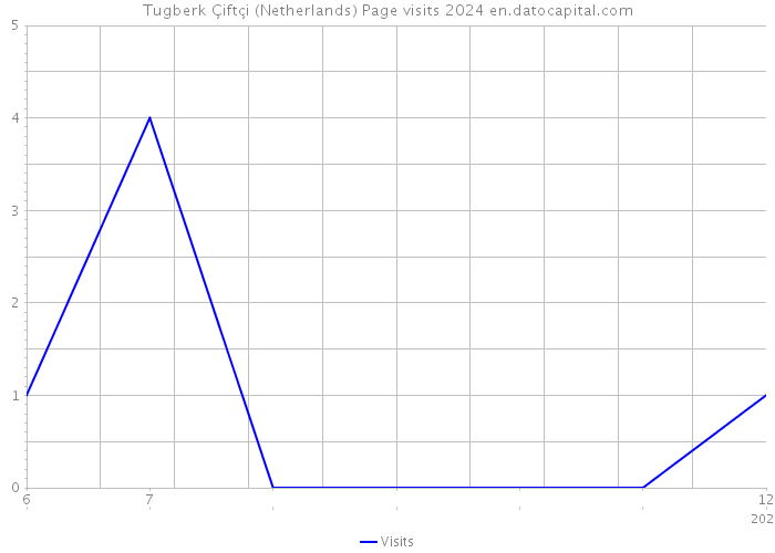 Tugberk Çiftçi (Netherlands) Page visits 2024 