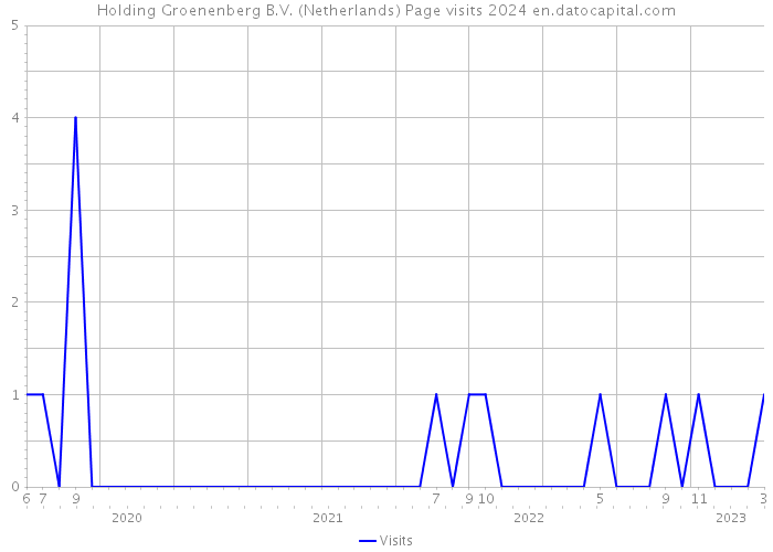 Holding Groenenberg B.V. (Netherlands) Page visits 2024 