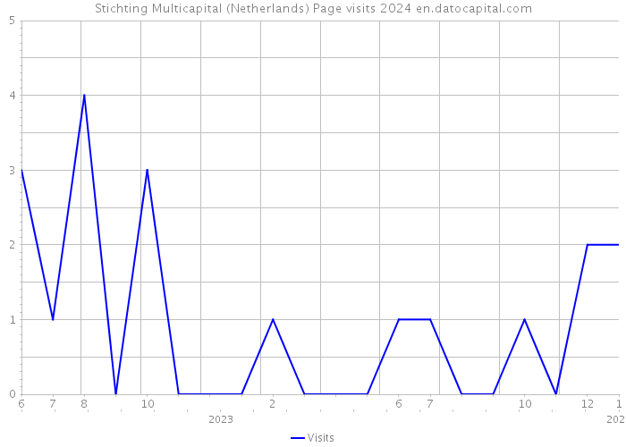 Stichting Multicapital (Netherlands) Page visits 2024 