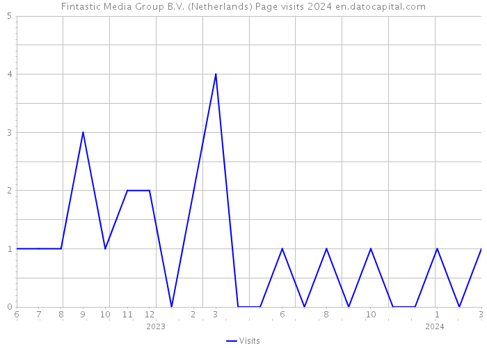 Fintastic Media Group B.V. (Netherlands) Page visits 2024 