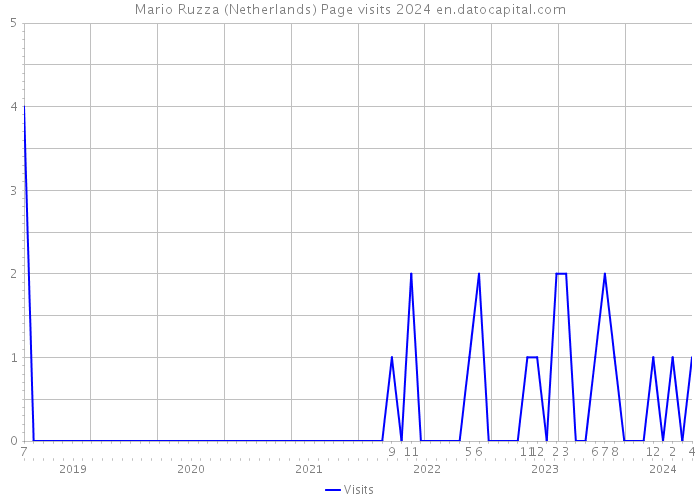 Mario Ruzza (Netherlands) Page visits 2024 