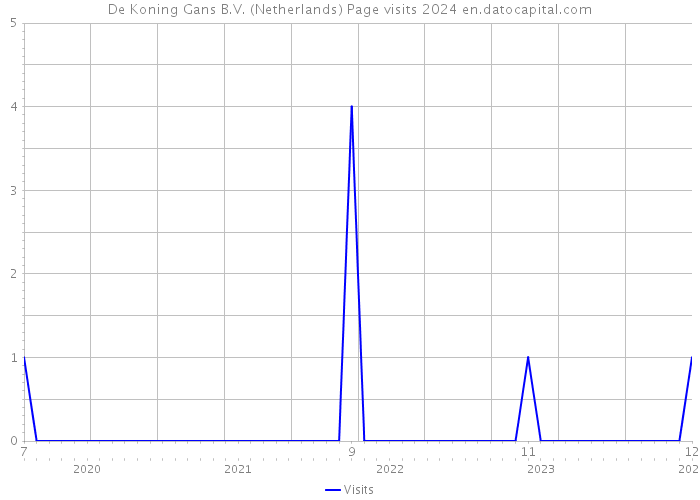 De Koning Gans B.V. (Netherlands) Page visits 2024 