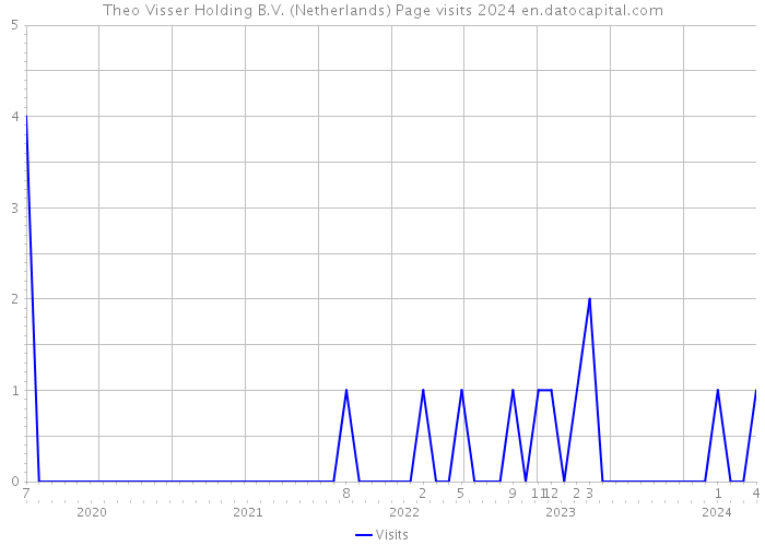 Theo Visser Holding B.V. (Netherlands) Page visits 2024 