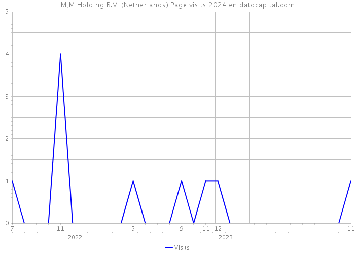MJM Holding B.V. (Netherlands) Page visits 2024 