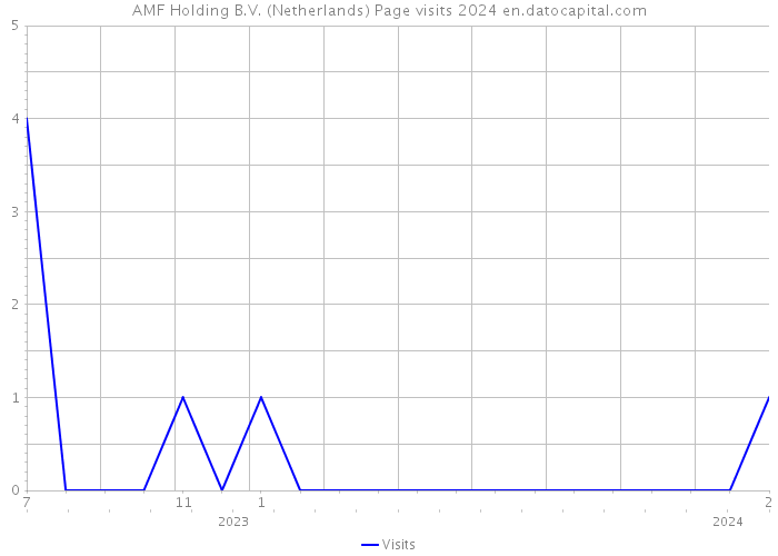 AMF Holding B.V. (Netherlands) Page visits 2024 
