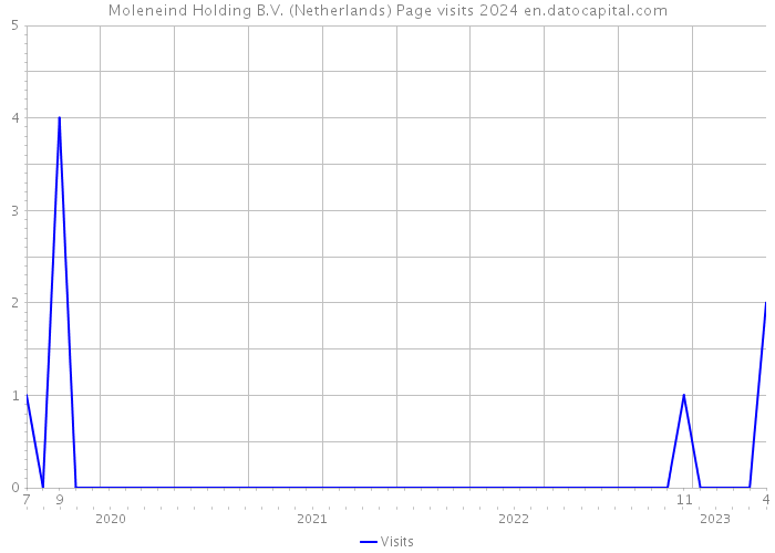 Moleneind Holding B.V. (Netherlands) Page visits 2024 