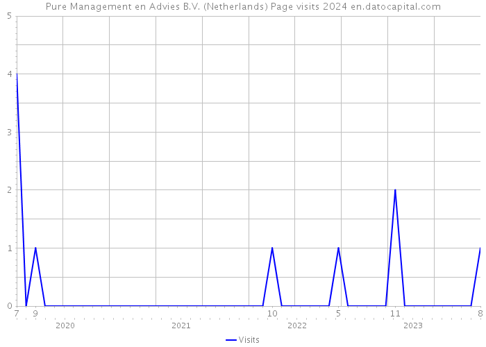 Pure Management en Advies B.V. (Netherlands) Page visits 2024 