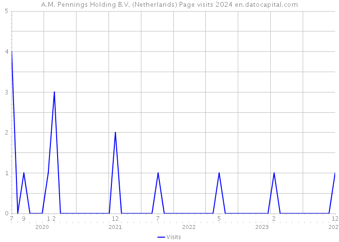 A.M. Pennings Holding B.V. (Netherlands) Page visits 2024 