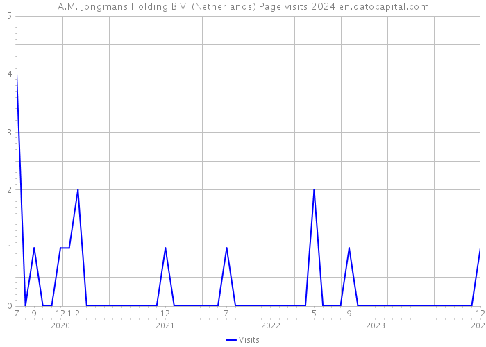 A.M. Jongmans Holding B.V. (Netherlands) Page visits 2024 
