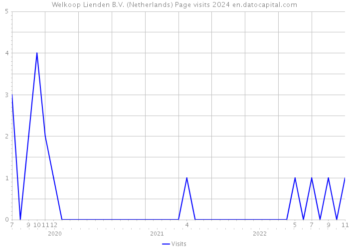 Welkoop Lienden B.V. (Netherlands) Page visits 2024 