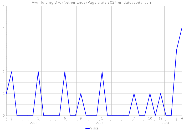 Awi Holding B.V. (Netherlands) Page visits 2024 