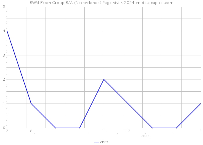 BWM Ecom Group B.V. (Netherlands) Page visits 2024 