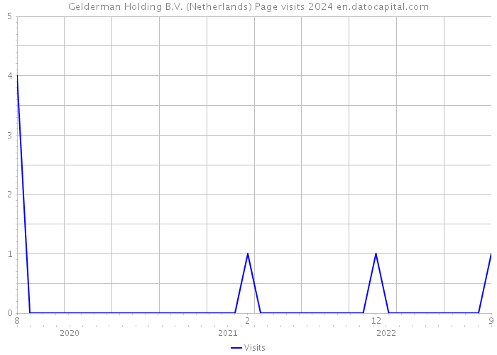 Gelderman Holding B.V. (Netherlands) Page visits 2024 
