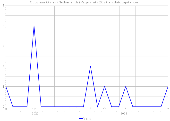 Oguzhan Örnek (Netherlands) Page visits 2024 