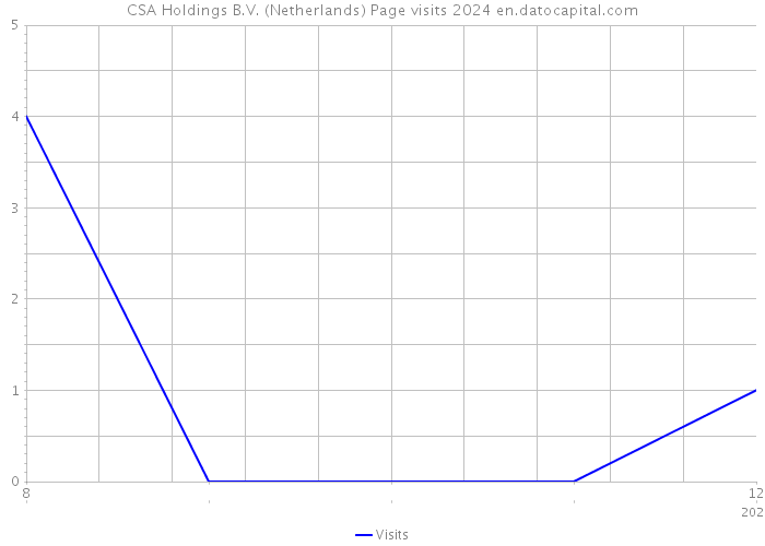 CSA Holdings B.V. (Netherlands) Page visits 2024 