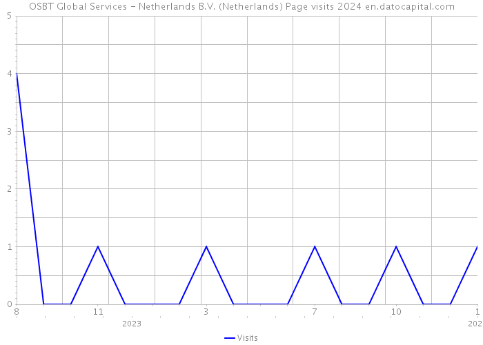 OSBT Global Services - Netherlands B.V. (Netherlands) Page visits 2024 