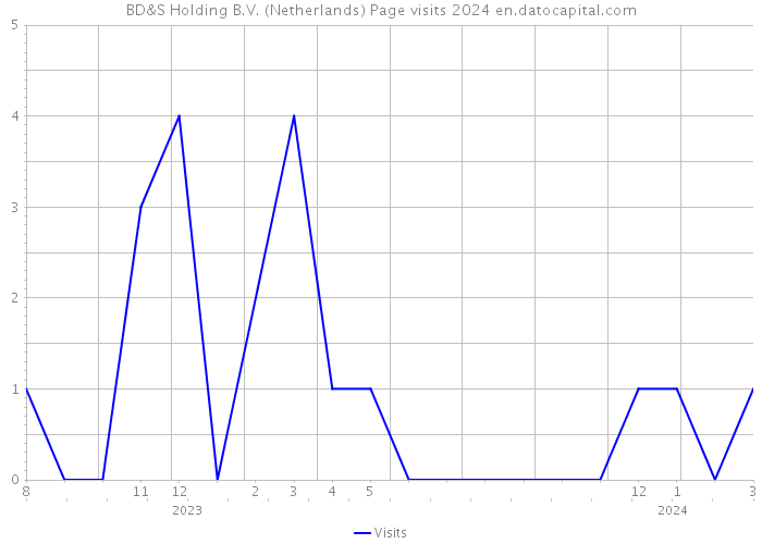 BD&S Holding B.V. (Netherlands) Page visits 2024 
