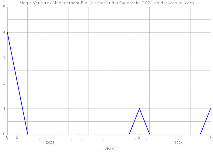 Magic Ventures Management B.V. (Netherlands) Page visits 2024 