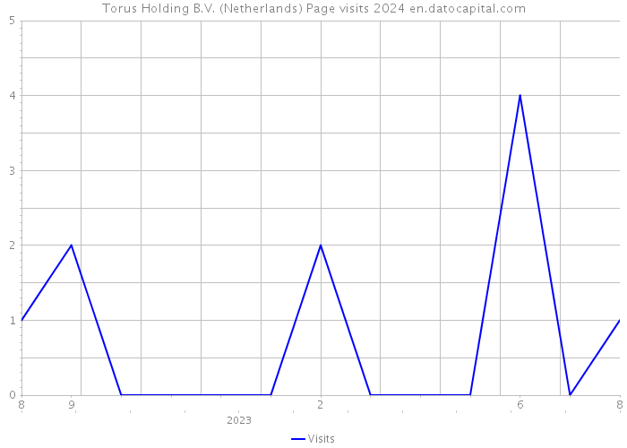 Torus Holding B.V. (Netherlands) Page visits 2024 