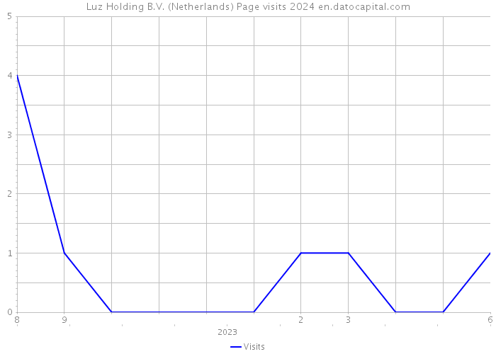 Luz Holding B.V. (Netherlands) Page visits 2024 