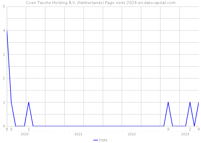 Coen Tasche Holding B.V. (Netherlands) Page visits 2024 