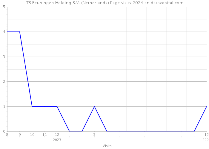 TB Beuningen Holding B.V. (Netherlands) Page visits 2024 