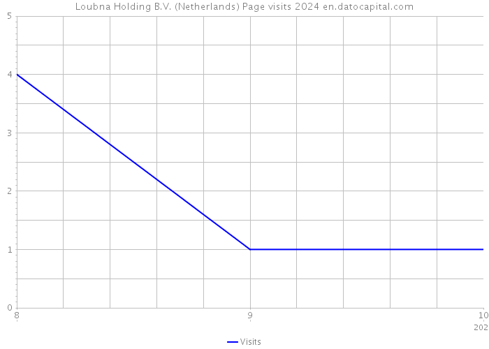 Loubna Holding B.V. (Netherlands) Page visits 2024 