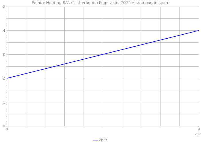 Painite Holding B.V. (Netherlands) Page visits 2024 