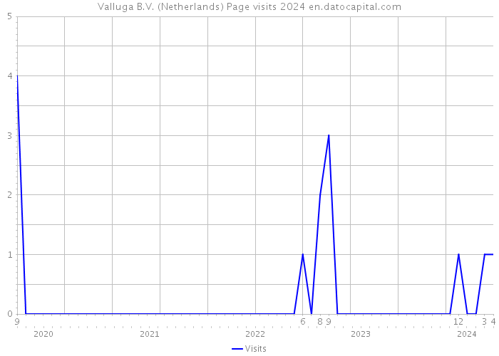 Valluga B.V. (Netherlands) Page visits 2024 