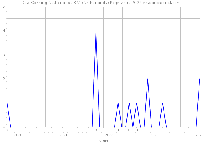 Dow Corning Netherlands B.V. (Netherlands) Page visits 2024 