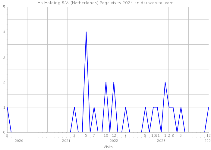 Ho Holding B.V. (Netherlands) Page visits 2024 