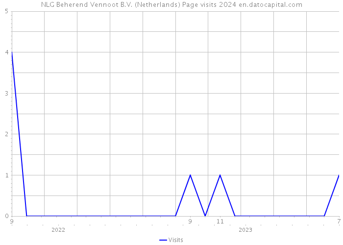 NLG Beherend Vennoot B.V. (Netherlands) Page visits 2024 