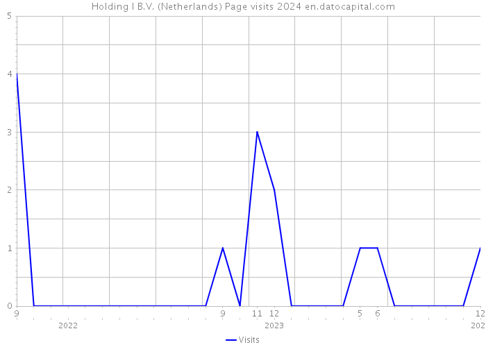 Holding I B.V. (Netherlands) Page visits 2024 