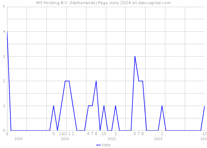 M3 Holding B.V. (Netherlands) Page visits 2024 
